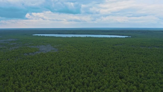 A small lake in a large Siberian forest. Aerial view. In the background a blue sky with clouds.