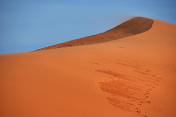 Fototapeta na wymiar coral pink sand dunes in utah near kanab