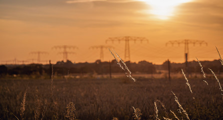 Power lines in orange sunlight