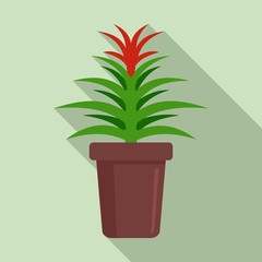 Flower succulent pot icon. Flat illustration of flower succulent pot vector icon for web design