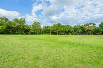 landscape of grass field and green environment public park use as natural background,backdrop
