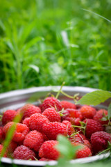 Pink fresh raspberries in an iron vessel in the garden on the background of green grass Berry Fruit Sadovina Healthy Food hack close up