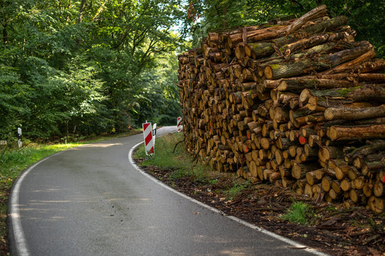 Holzstapel am Stra&szlig;enrand