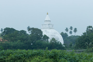 buddhist temple with statue in sri lanka 