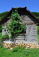 Abandoned old wooden house, non-residential,