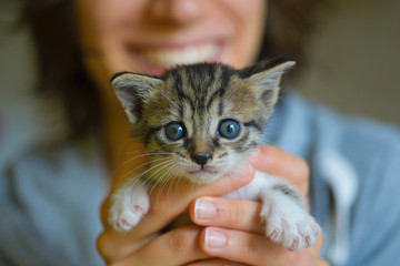 Ragazza giovane che sorride felice e tiene in braccio tra le mani un gatto piccolo cucciolo tenero e coccola - obrazy, fototapety, plakaty