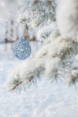 Winter nature Christmas background with frozen spruce, glitter, bokeh, snow.