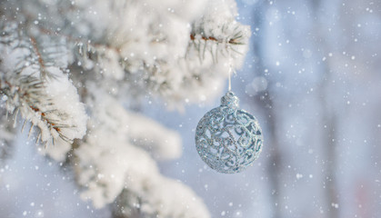 Winter nature Christmas background with frozen spruce, glitter, bokeh, snow.