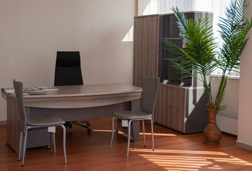 trendy office interior