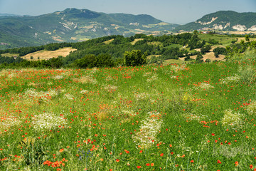 Passo del Penice: mountain landscape