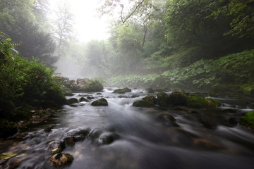 landscape with the flow of a mountain river against a misty forest