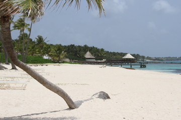 Plage dominicaine