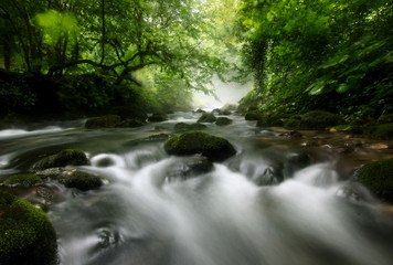 Obraz premium landscape with the flow of a mountain river against a misty forest
