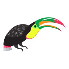 Tropical toucan icon. Cartoon of tropical toucan vector icon for web design isolated on white background