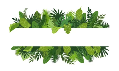 Tuinposter Tropical leafs concept banner. Cartoon illustration of tropical leafs vector concept banner for web design © anatolir