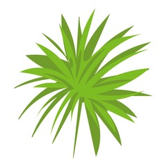 Papyrus frond icon. Cartoon of papyrus frond vector icon for web design isolated on white background