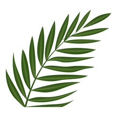 Fern frond leaf icon. Cartoon of fern frond leaf vector icon for web design isolated on white background