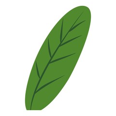Fresh banana leaf icon. Cartoon of fresh banana leaf vector icon for web design isolated on white background