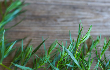 Obraz premium flat lay ,tarragon grass on wooden background with soft focus and copy space