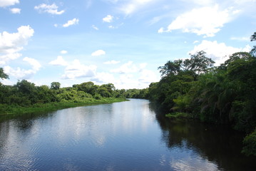 Fototapeta na wymiar lake in Pantanal - MS - Brazil