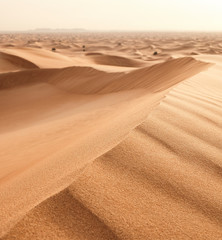 sand dunes in the desert