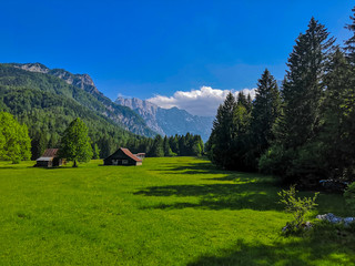 Colorful summer landscape in Slovenia