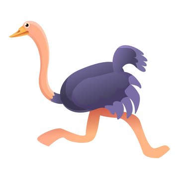 Running ostrich icon. Cartoon of running ostrich vector icon for web design isolated on white background