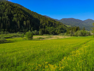 Beautiful Alpine landscape of meadow and mountains in Slovenia.