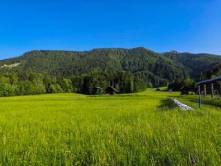 Beautiful Alpine landscape of meadow and mountains in Slovenia.