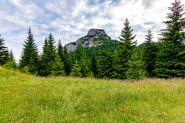Fototapeta na wymiar Maly Rozsutec mountain in the Mala Fatra Slovakia national park. Tourist destination for outdoor activities, hiking, trekking. Summer day. Meadow and forest near big rock