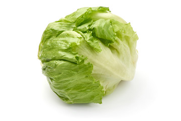 Fresh cabbage head, isolated on white background