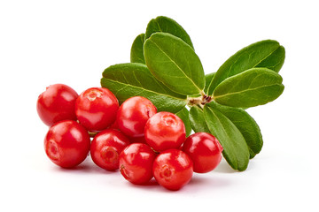 Lingonberry with leaves, isolated on white background