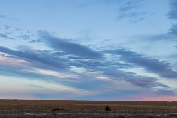 sky with clouds blue golden hour