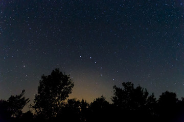 Obraz na płótnie Canvas night forest silhouette under a night starry sky and Ursa Major constellation