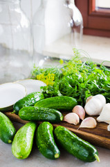 Preparation marinated conservation cucumbers with herbs, garlic, salt, and spice.