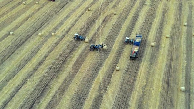 Aerial: Haymaking. Tractor collecting round bales of hay and loaded to truck. Agricultural Footage On the Field.