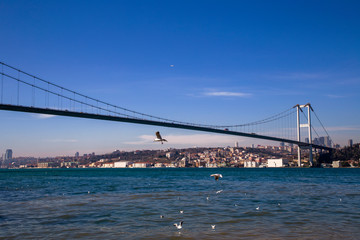 Bosphorus Bridge