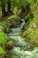 Naklejka premium Acequia en Lanjarón