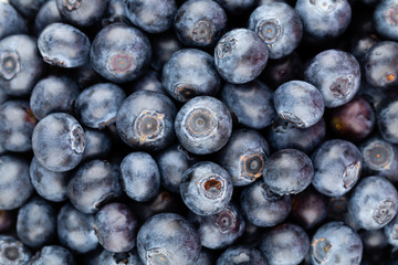 Fresh blueberry background. Texture blueberry berries close up.