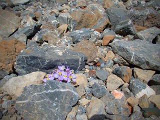 beautiful hiking in fann mountains nature in tajikistan
