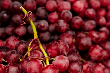 Red grapes