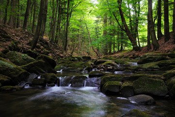 Picturesque mountain stream in a deep spring forest - Magurski National Park in Carpathian Mountain Range in Poland.