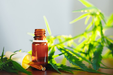 CBD oil cannabis extract. Hemp oil bottles and hemp flowers on wooden table. Medical cannabis concept. CBD Extract Tincture Liquid Dripping