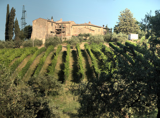 Fototapeta na wymiar Tuscan Farmhouse on hillside, region of Florence