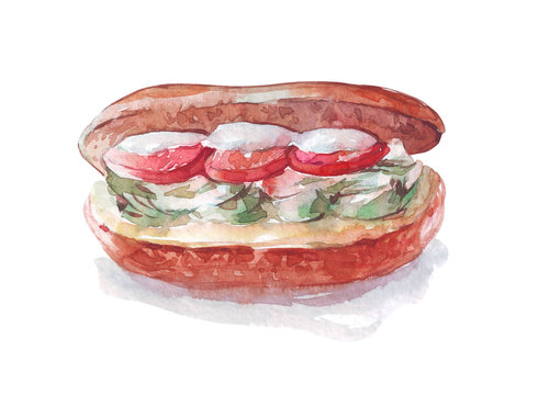 sandwich with tomatoes watercolor