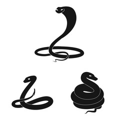 Vector design of nature and medicine icon. Collection of nature and evil vector icon for stock.