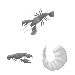 Vector illustration of crab and appetizer symbol. Collection of crab and sea stock symbol for web.