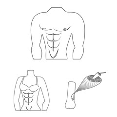 Vector illustration of fiber and muscular logo. Collection of fiber and body stock vector illustration.