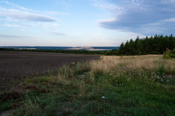 Landscape forest, sky, field, horizon early in the morning