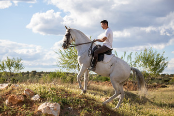 Young male in casual outfit riding white horse on grassy meadow a sunny day